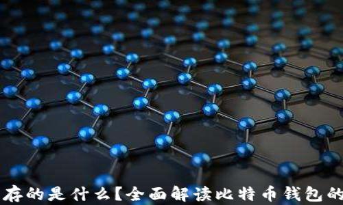 
比特币钱包存的是什么？全面解读比特币钱包的原理及作用