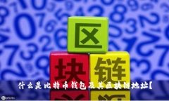 什么是比特币钱包及其区块链地址？