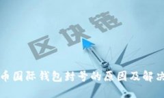 比特币国际钱包封号的原因及解决方案