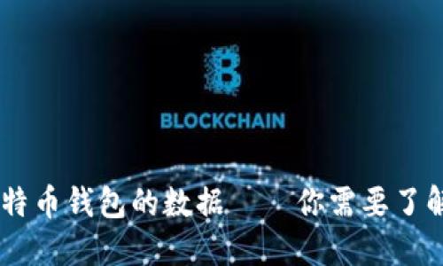 2023年：揭秘比特币钱包的数据——你需要了解的8个关键统计