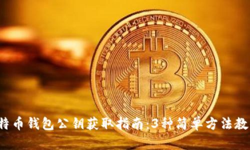 2023年比特币钱包公钥获取指南：3种简单方法教你轻松找到