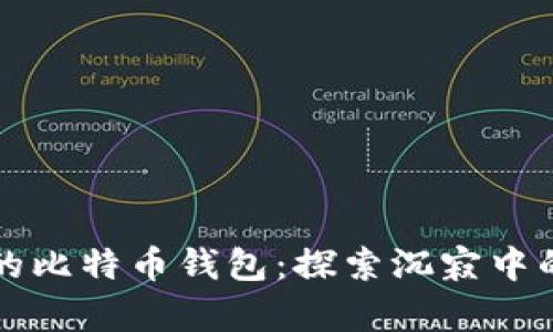 十年未动的比特币钱包：探索沉寂中的数字财富