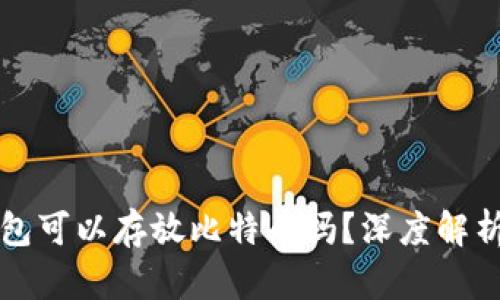 以太钱包可以存放比特币吗？深度解析及比较