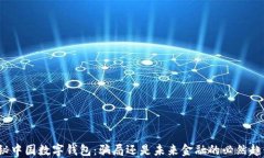 揭秘中国数字钱包：骗局