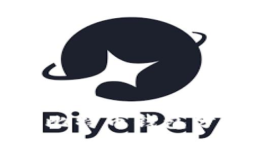 中国用户首选比特币钱包分析及使用指南