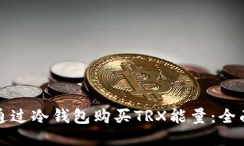 如何通过冷钱包购买TRX能量：全面指南