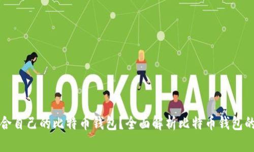 如何选择适合自己的比特币钱包？全面解析比特币钱包的种类与特点