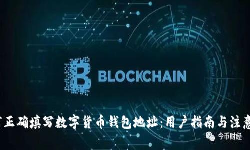  如何正确填写数字货币钱包地址：用户指南与注意事项