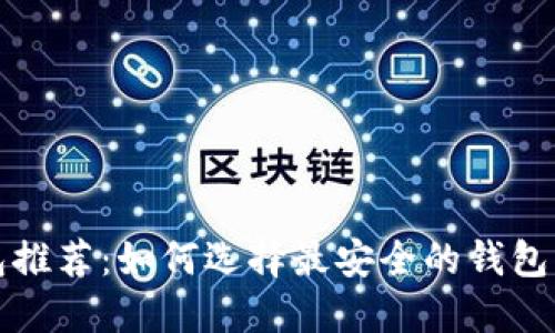最安全的区块链钱包推荐：如何选择最安全的钱包来保障你的数字资产