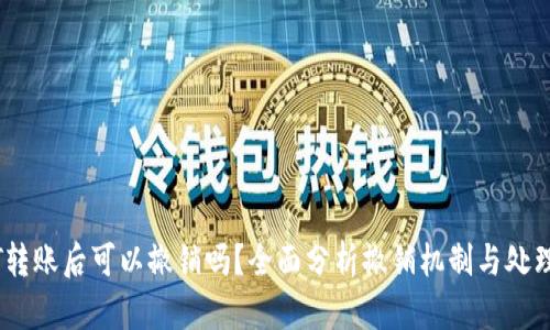 USDT转账后可以撤销吗？全面分析撤销机制与处理方法