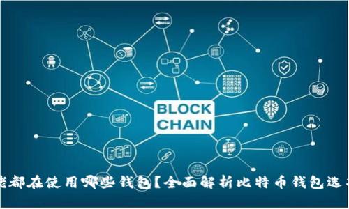 比特币大佬都在使用哪些钱包？全面解析比特币钱包选项与安全性