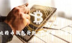 全面解析比特币钱包升级