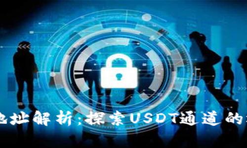 : USDT钱包地址解析：探索USDT通道的运作与安全性