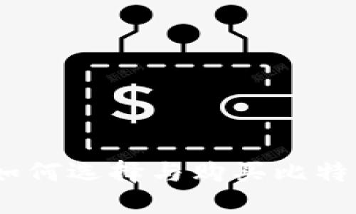 全面指南：如何选择与购买比特币硬件钱包